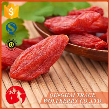 Free Sample lowest price goji berries,bulk goji berries on sale